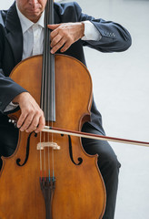 Fototapeta premium Professional cellist playing his instrument