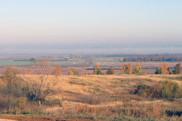 Autumn walk in the fields