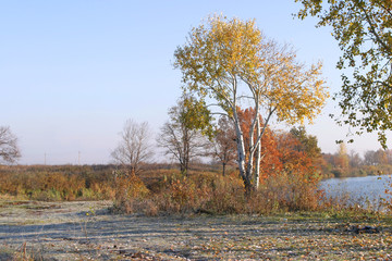 Autumn walk along the river