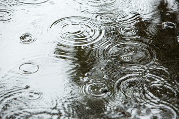 Beautiful backgrounds with falling water drops in a puddle in the rain