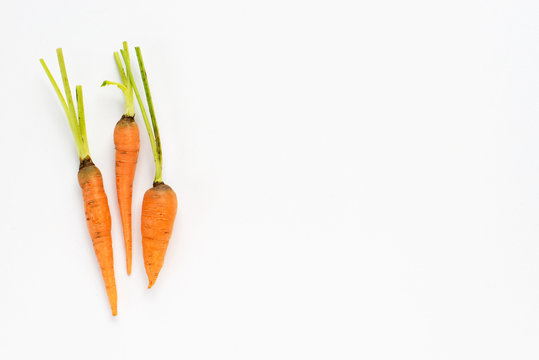 Raw Organic Carrots On White Background.