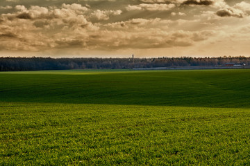 storm clouds blue sky over a field