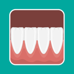 Vector icon incisors teeth © antaya