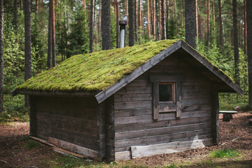 Wooden house with a green roof in the forest
