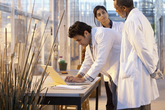 Scientists working in laboratory