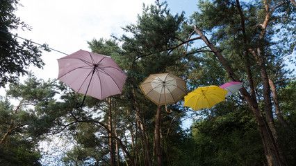 Regenschirm Dekoration