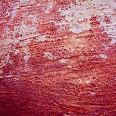 pink background texture cement wall