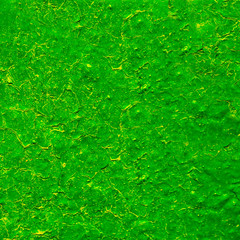 Painted green wall background or texture