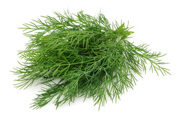 Fresh Dill 
