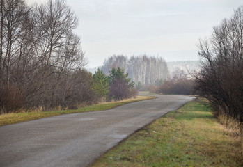 Fototapeta premium road in autumn