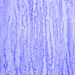 blue background rusty metal panel painted