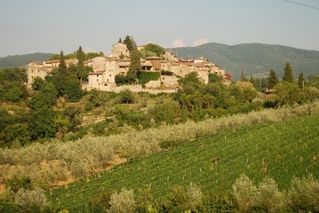 Fototapeta na wymiar Tuscany Montefioralle_2