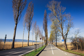 Bike path along the road
