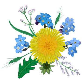 Yellow dandelion flower bouquet. Hand drawn wildflowers yellow blue bouquet