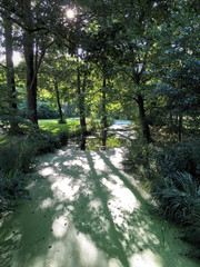 Obraz premium Schlosspark Charlottenburg