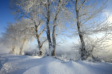 sunny winter day on the river Kama