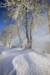 sunny winter day on the river Kama