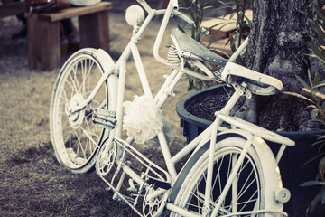 Fototapeta na wymiar White painted bike at tree