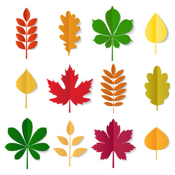 vector collection of autumn colored leaves