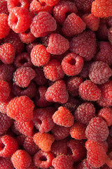 Close up of the ripe raspberry as background.