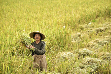 farmer Thailand