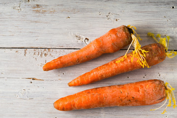 Raw carrots on the white wooden background top view