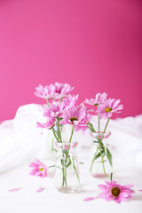 Fototapeta na wymiar Pink chrysanthemum flowers on white wooden background