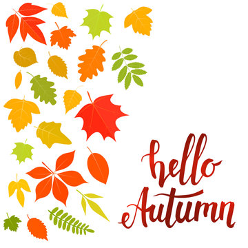 Handwritten lettering, Hello autumn with yellow leaves. Vector stock illustration.