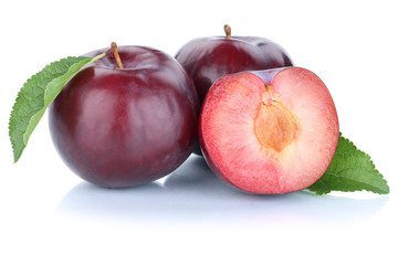 Pflaumen Pflaume blau frische Früchte Frucht Obst Freisteller f