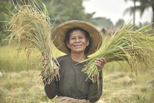 Farmer Thailand