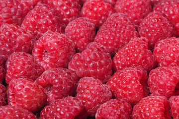 Frische betaute Himbeeren als Gruppe, Hintergrund