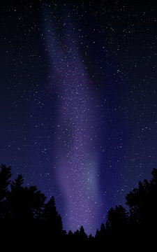 Night sky with stars and milky way.Vector illustration