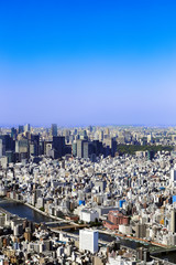 Fototapeta na wymiar Scenic aerial shot of Tokyo - blue sky and beautiful