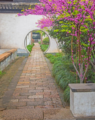 Old town of Wuzhen with nice park