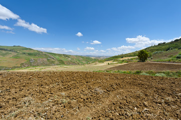 Rural Landscape of Sicily