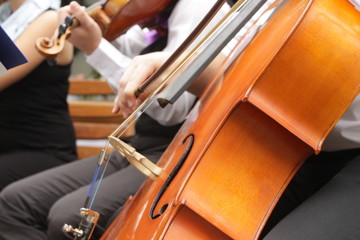 a close up photo of a cello