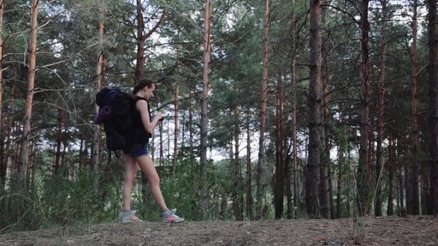 Woman tourist with backpack using navigation app on smartphone in the beautiful wild forest then walks away. Travel concept.