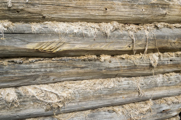Texture: part of the old log wall