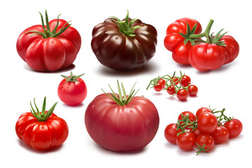 Set of different tomato varieties