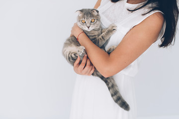 Girl feeding cat food and playing kitten Scottish breed