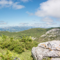 Naklejka premium Parque Nacional de los Picos de Europa (Picos d’Europa) Asturies (Asturien, Asturias) Spanien (España)