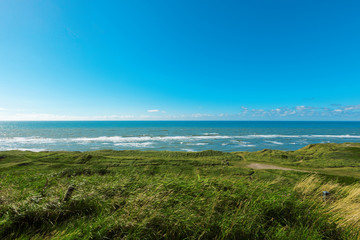 Fototapeta na wymiar meadow sky and sea Denmark