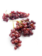 red grape on white background