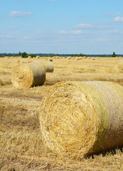 Fototapeta premium The haystack against the sky.