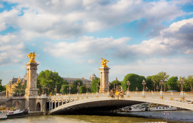 Fototapeta na wymiar PARIS, FRANCE - JUNE 24, 2016. Bridge of Alexandre III