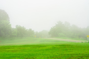 green lawn in the rain fog