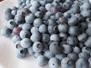 ブルーベリー