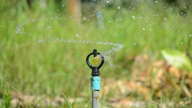 Water sprinkler in farm.