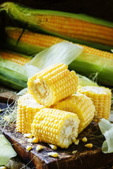 Uncooked sweet corn, selective focus