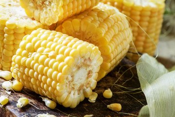 Uncooked sweet corn, selective focus
